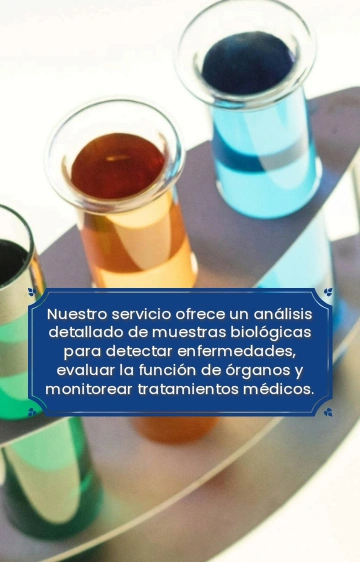 QUÍMICA CLÍNICA